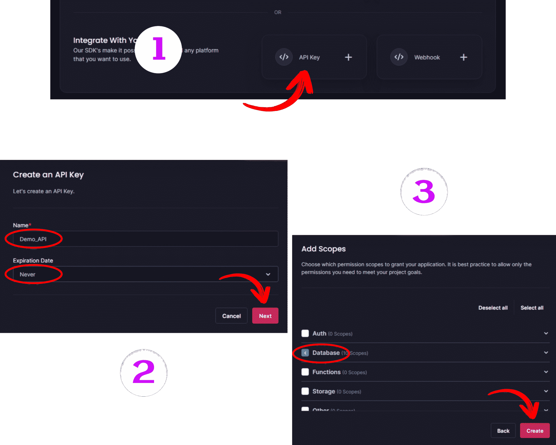 API Key Setup