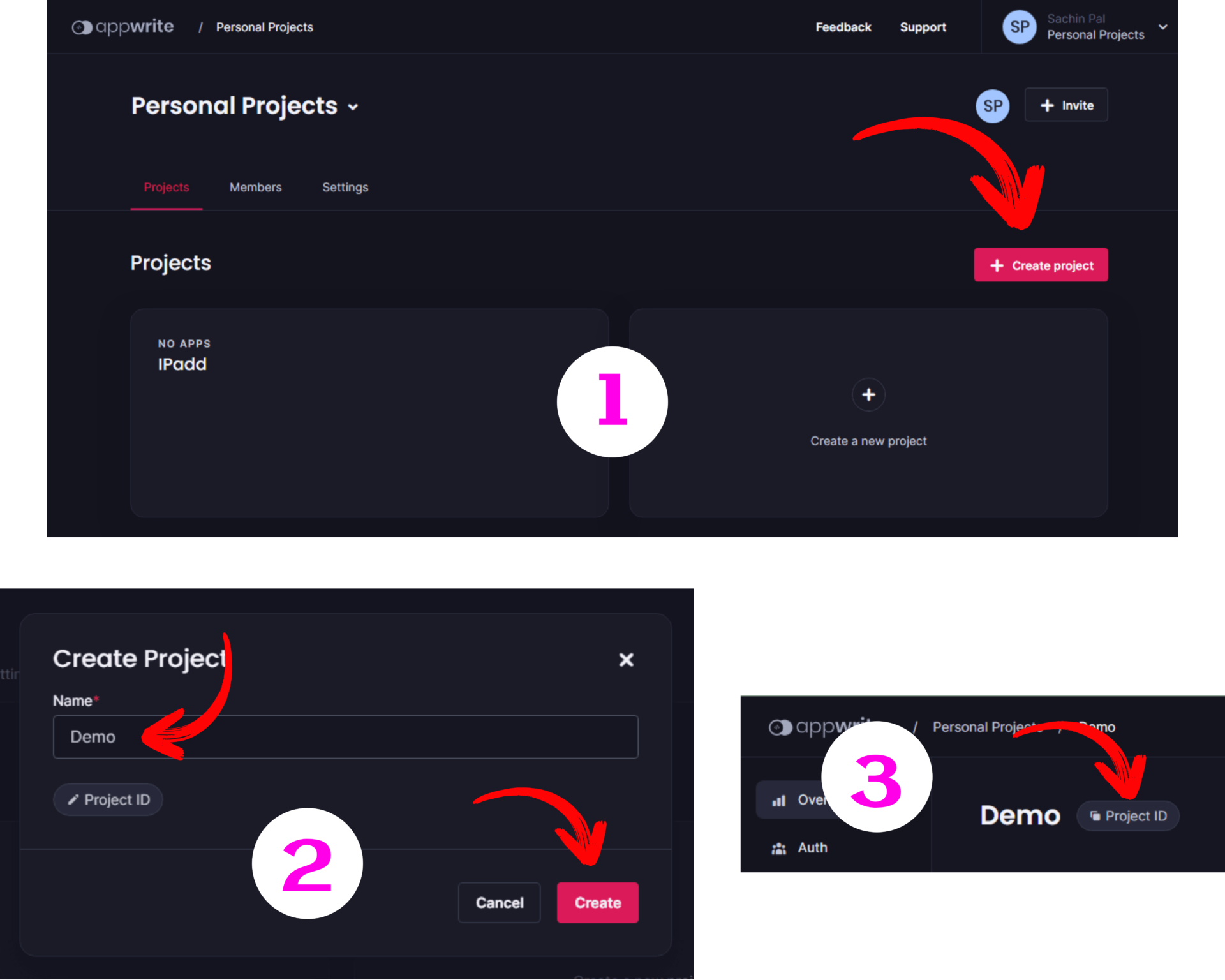 Project Creation and Saving Project ID