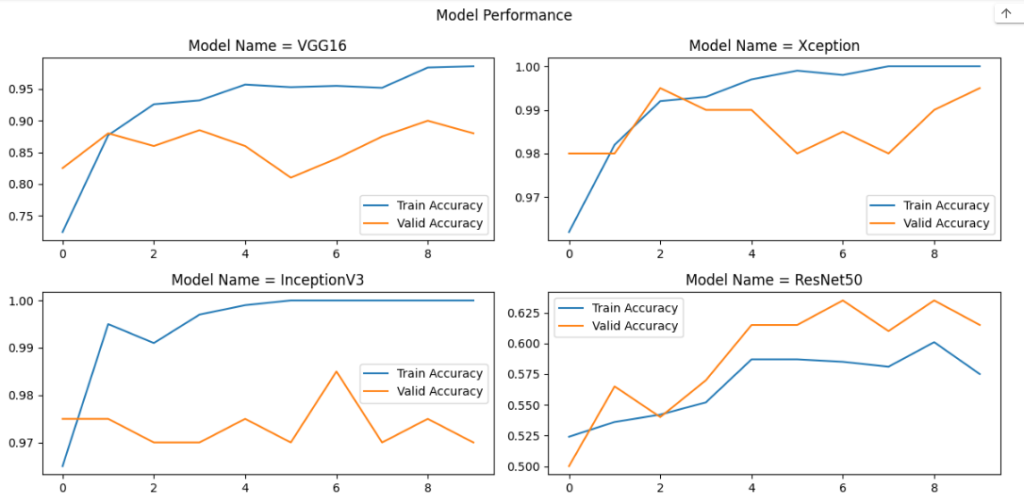 A Practical Examination of 4 Pre-trained Models for Accuracy