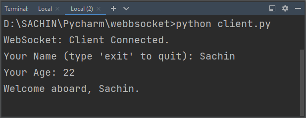 WebSocket client